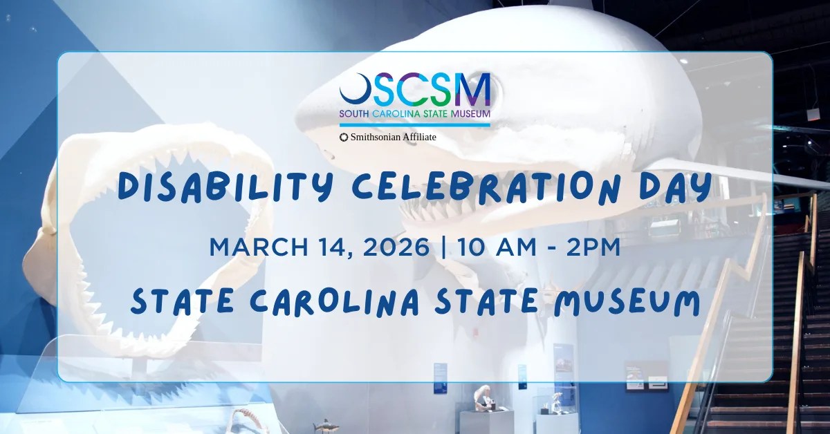 Disability Celebration Day