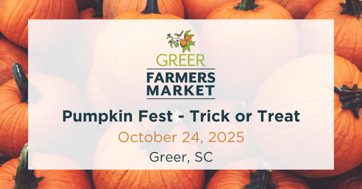 Pumpkin Fest – Trick or Treat
